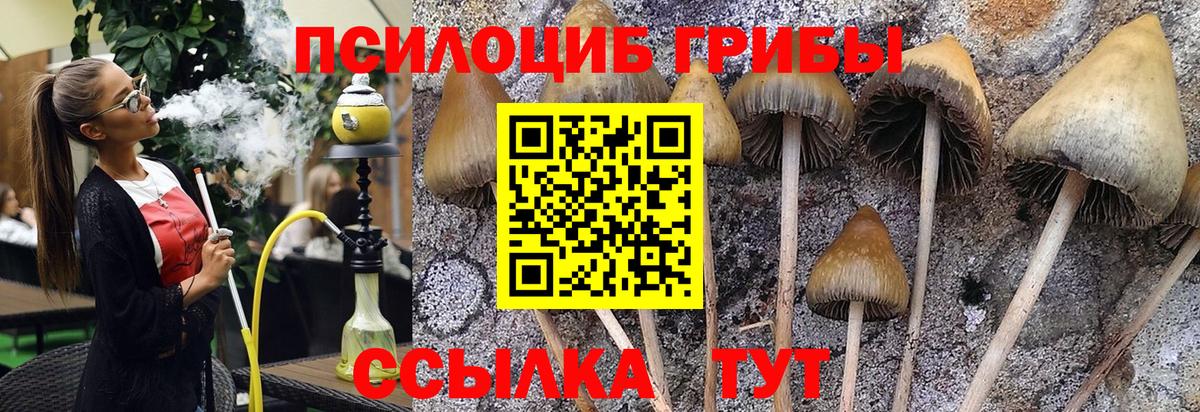 Галлюциногенные грибы мухоморы  купить наркотик  Псилоцибиновые грибы Cubensis  Благодарный  Вход с VPN 